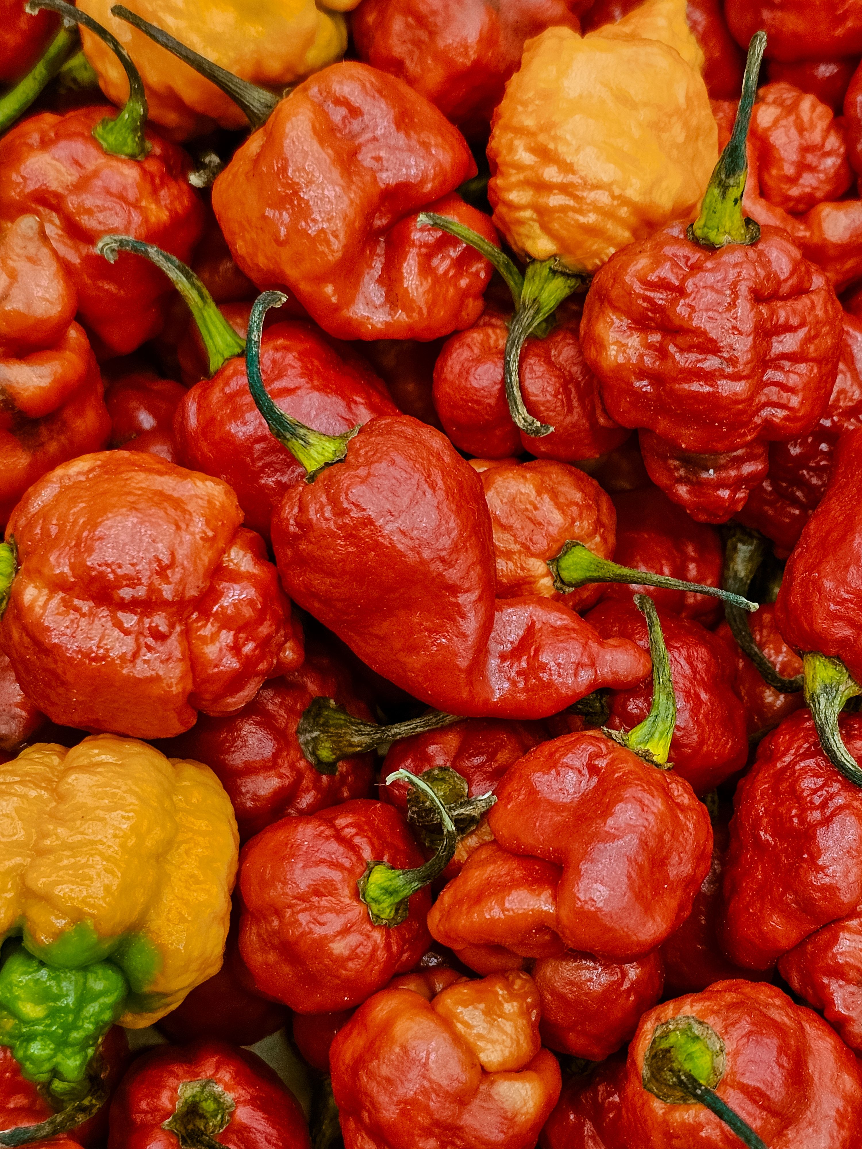 Pepper Types