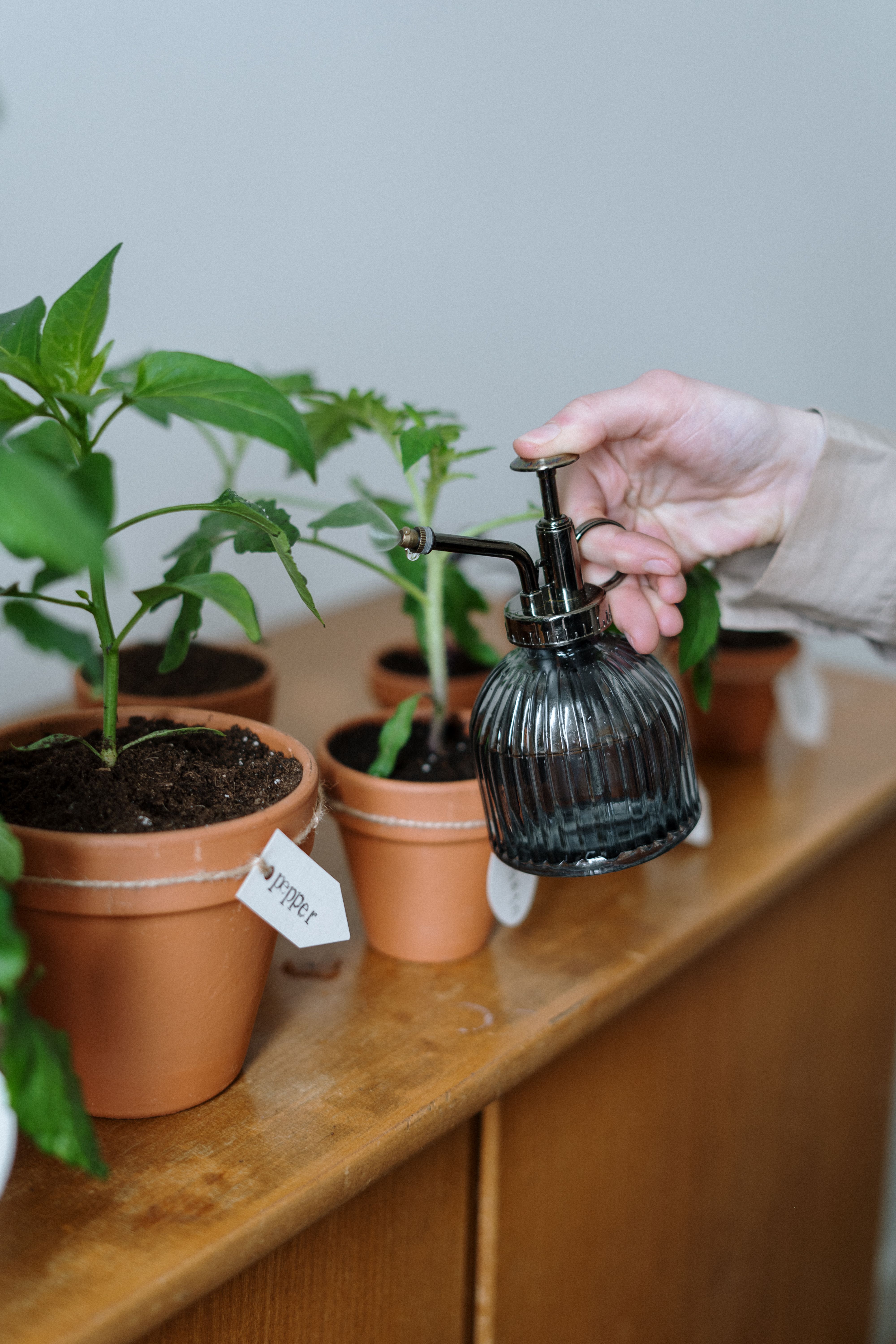 Pepper Types